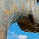 Election 2020's Trojan Horse