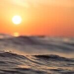 Inconvenient Truth: Ending Mask Mandates Protects the Environment