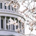 Dems' Rigged Jan. 6 Hearings Won't Halt Red Wave in November