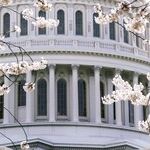 Deep State Complicit in Russia Collusion Conspiracy