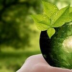 The Green New Deal: The Left's Phony Attempt to Co-Opt Trump's Labor Populism