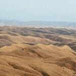 The Iranian Threat