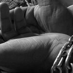 Why Political Emancipation Without Economic Independence Is Incomplete Freedom