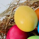This Easter, Let's Rediscover Our Purpose