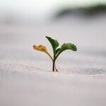 A Chance Meeting With Richard Pryor -- and Its Lasting Impact