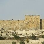 I Want a Wall Just Like Israel's