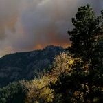 Wildfire Alone Didn't Destroy Los Angeles. How the Dumb, Radical Left's 6 Favorite Obsessions Made the Fire Unstoppable -- Woke DEI, Climate Extremism, Homelessness, Vaccines, Open Borders and Ukraine