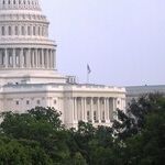 Patriots Do Not Storm Their Nation's Capitol