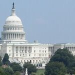 Republicans Should Use Their Brains a Little When Picking Candidates