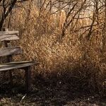 Grateful for Rest This Thanksgiving