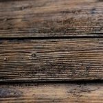 A Palm Sunday Reflection: Jesus 'Understood the Assignment'