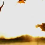A Wonderful Soul-Stirring Fall Revival