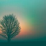 Americans' Lack of Faith Indicates Many Still Need Spiritual Assurance