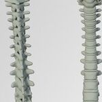 5 Top Tips to Prevent and Treat Pregnancy Back Pain