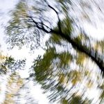 4 Top Tips for Pregnancy Dizziness