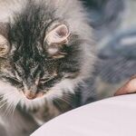 8 Top Tips for Preparing for Birth