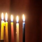 Keep Puppy Safe During Hanukkah