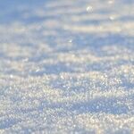 Use Pet-Safe De-Icer Instead of Rock Salt This Winter