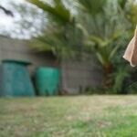 Contagious, Deadly Parvovirus Persists in Environment