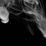 Secondhand Smoke Causes Cancer in Cats