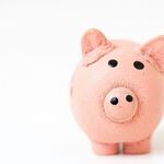 Save Money on Veterinary Care by Preventing Disease