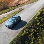 Canine Carsickness: Common But Treatable