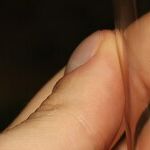 Wash Hands After Removing Tick From Pet