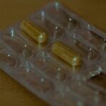 Don't Use Dog Flea Prevention on Cat