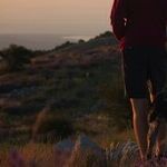 Many Reasons Dogs Prefer Certain People