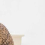 Cat's Lymphoma Not Contagious