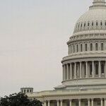 Looney Tunes: The Rot on the Right Isn't Going Away Anytime Soon