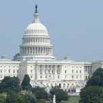 Circular Firing Squad: The Democrats' Internal Warfare Threatens To Send Them Back to the Wilderness