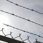Letter From Sing Sing: Trump's Subpoena Response Sounds Like He's Already in Solitary