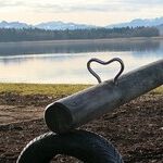 Land Of Oz: America Barrels Toward a Crossroads