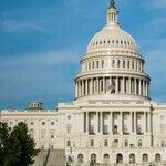 Baked Squad: Hard-Left Democrats May Be in for a Thinning