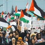 Backlash: America Cools on Crazy