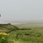 Disgrace In Dublin: Insulting an Irish Son -- Ireland Debases Itself