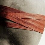 Willfully Blind: American Universities Continue to Squirm Under Stefanik's Anti-Semitism Spotlight