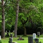 Losing Abe: A Giant Passes at a Particularly Bad Time