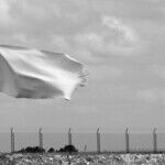 Shambles: America Surrenders, Unconditionally