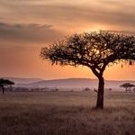 Into the Breach: Global Camps Africa Works to Rescue Africans' Future