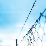 The Shameful Tragedy of Open Borders