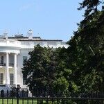 Resign, Joe
