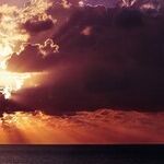 What Shines Through