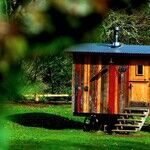 The Canary in the Tiny House