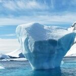 Haunted by the Unexpected Icebergs of Life