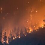 The Cost of Letting Everything Burn