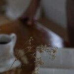 The Author I Used to Be