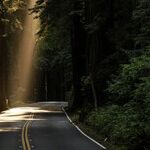 The Philosophy of Hope and Destiny