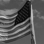 Beholding My Country at a Distance